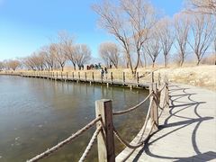 -野鸭湖国家湿地公园