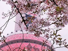 -东方明珠广播电视塔