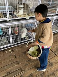-小蜜蜂农场(凯德七宝购物广场店)