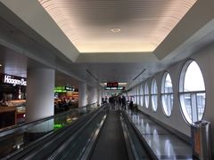 -厦门高崎国际机场-T3航站楼