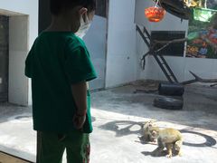 -西安秦岭野生动物园