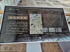 -金沙遗址博物馆