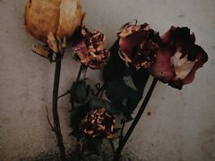 -济南轻骑摩托车有限公司(和平路)