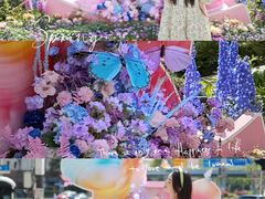 -上海第一八佰伴
