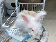 -怪兽屋·羊驼·猫咖·狗咖(俊华广场店)