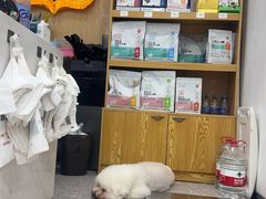 -四月宠物医院·猫专科·心脏专科·内科(转塘店)