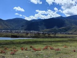 -纳帕海依拉草原