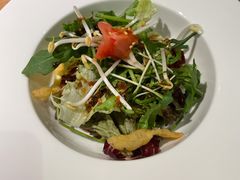 水果色拉-初花·日本料理