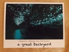 -怀托摩萤火虫洞