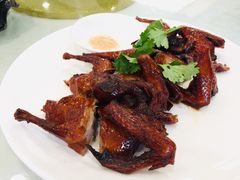 红烧乳鸽-黄埔华苑酒家(黄埔店)