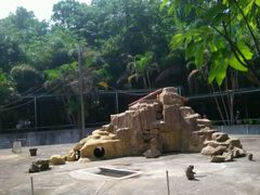 -广东茂名森林公园