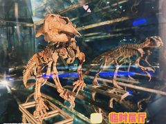 -中国地质博物馆