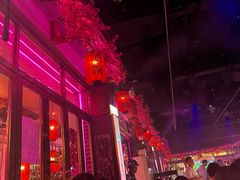 -喜鹊音乐酒馆(西街店)