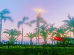 -黄金海岸环岛路