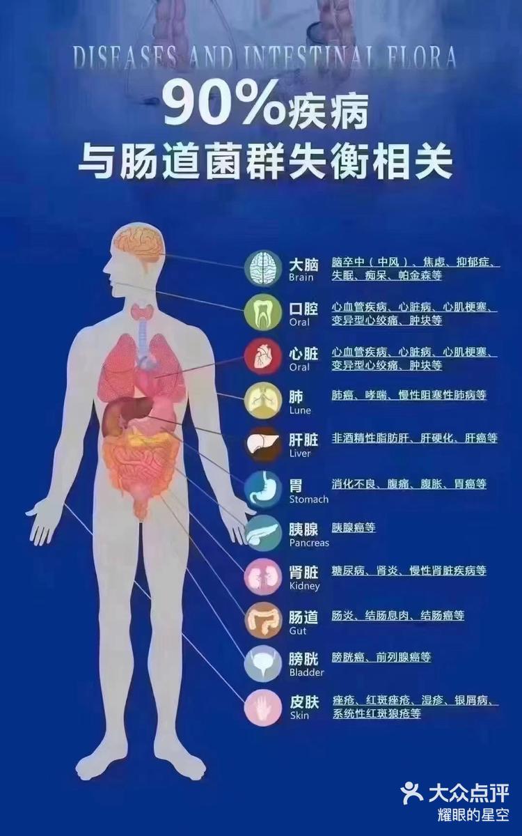 大肠小肠作用图片