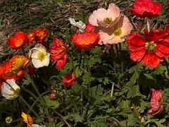 -人民公园(罗湖区)