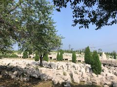 -原山国家森林公园