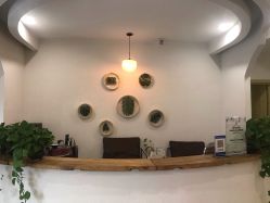 等待区-薇薇安花系SPA