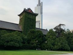 -阿sir咖啡(陶谷新村店)