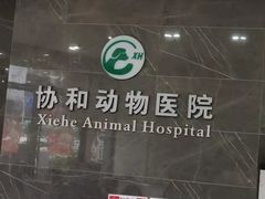 -瑞鹏瑞爱宠物医院·全科·猫科·血液透析中心(龙头寺店)