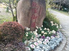 -苏州上方山国家森林公园