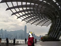 -星光大道