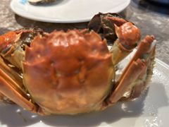 -曼格活海鲜·牛排自助(光明蓝鲸店)