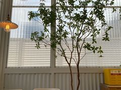 -娜娜家•Nana's restaurant (南开大悦城店)