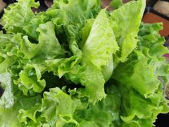 -胡悦里韩式烤肉(莱阳总店)