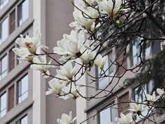 -木塔寺遗址生态公园