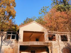 -青龙山国家森林公园
