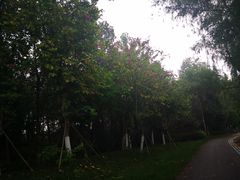 -白鹭湾湿地公园