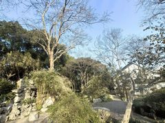 -上海醉白池公园