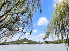 -上海月湖雕塑公园