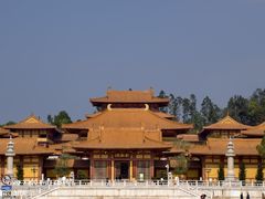 -三水森林公园