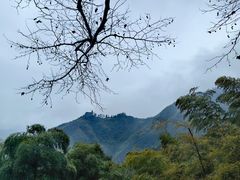 -莫干山风景区