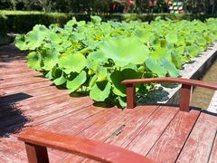 -九龙湾景区拓展会议