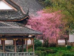-杭州植物园
