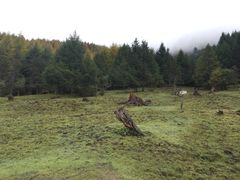 -硗碛藏寨·神木垒景区