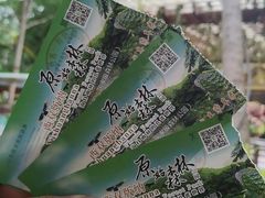 -西双版纳原始森林公园