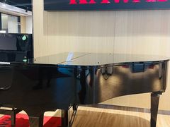 -柏斯音乐艺术中心·钢琴·吉他(上音店)