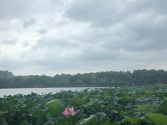-湖畔居茶楼(湖滨店)