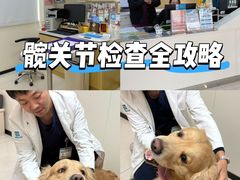 -美联众合动物医院·24h京西诊疗中心