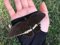 -近代中国十八先贤铜像广场(广州校区)