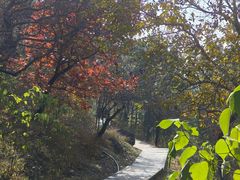 -北京十三陵国家森林公园蟒山景区