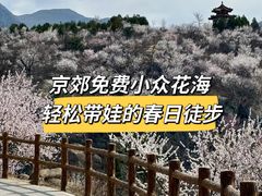 -白水寺森林公园