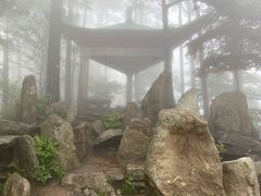 -庐山风景区花径公园