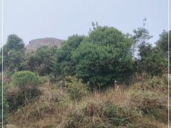 -梧桐山风景名胜区