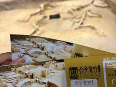 -洛阳周王城天子驾六博物馆