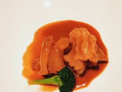 金汤玉井花胶-觀芷隐轩